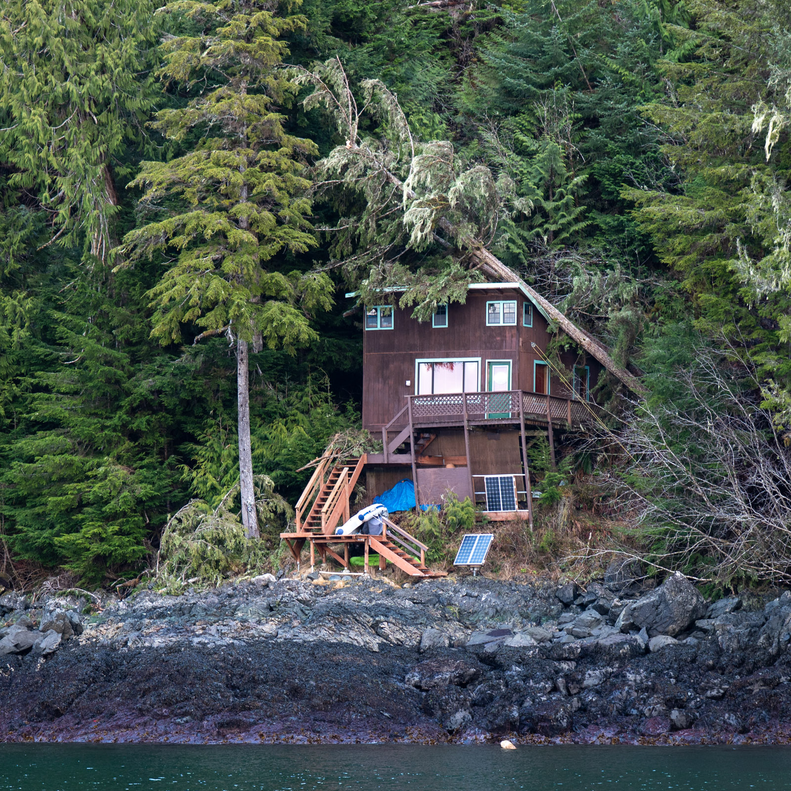 tree fell on cabin in alaska
